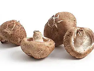 What Is Ergothioneine's Role in Clinical Nutrition?